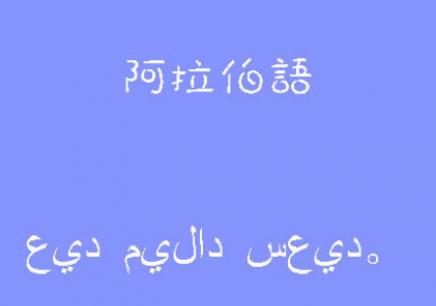 學阿拉伯語要多少錢