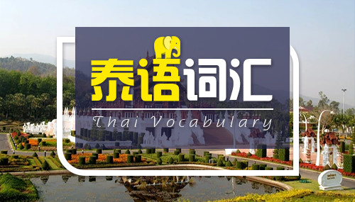 泰語中的???和???、????和????、????和????的用法和區(qū)別