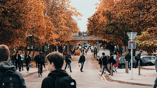 基礎意大利語學習網站,一篇全知道